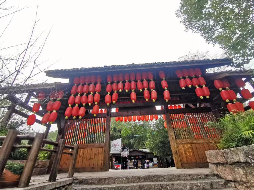 微信图片_20231210222919