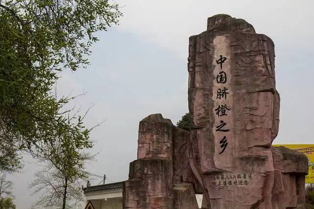 微信图片_20231210222937