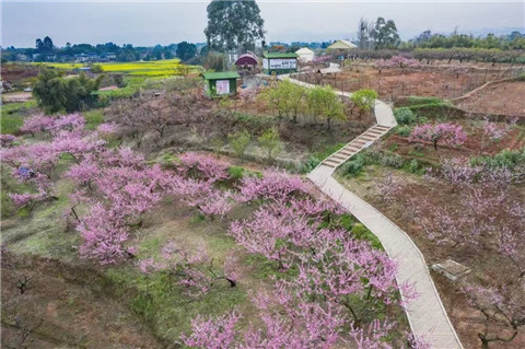 微信图片_20240326072845