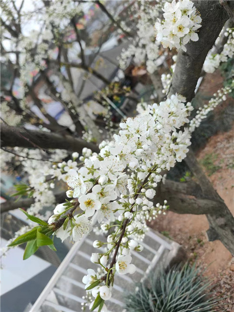 微信图片_20240326072849