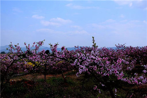 微信图片_20240326072759