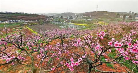 微信图片_20240326072825