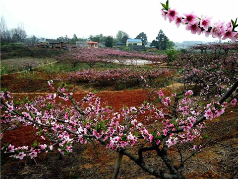 微信图片_20240326072837