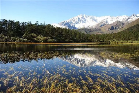 微信图片_20240719162409