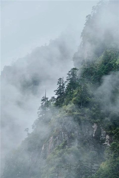 微信图片_20240719162419