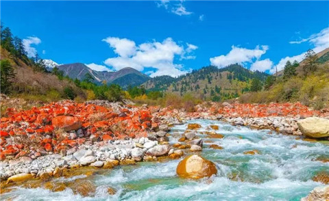 微信图片_20240719162405