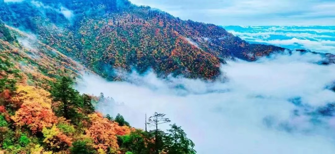 微信图片_20241014103429