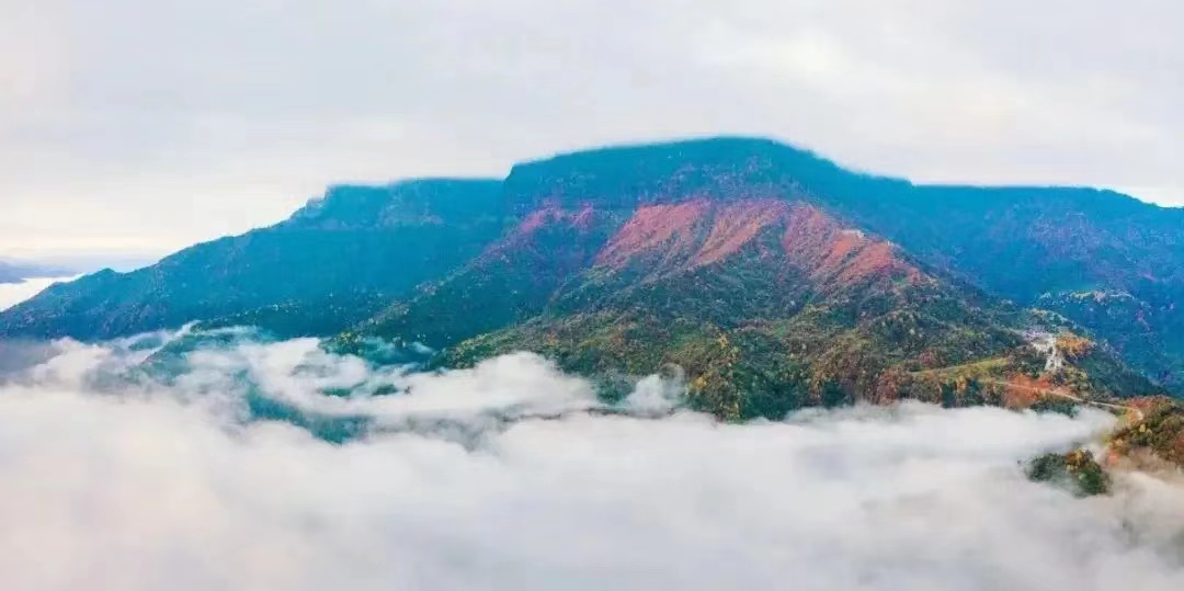 微信图片_20241014103426