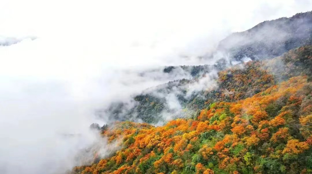 微信图片_20241014103419