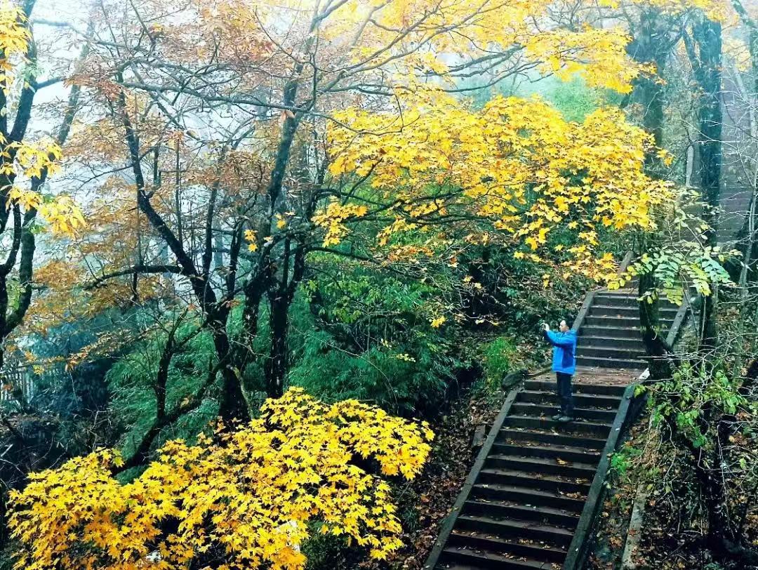 微信图片_20241014103406