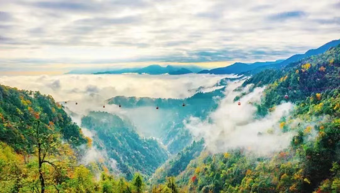 微信图片_20241014103422