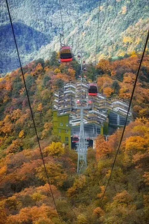 微信图片_20241014103400