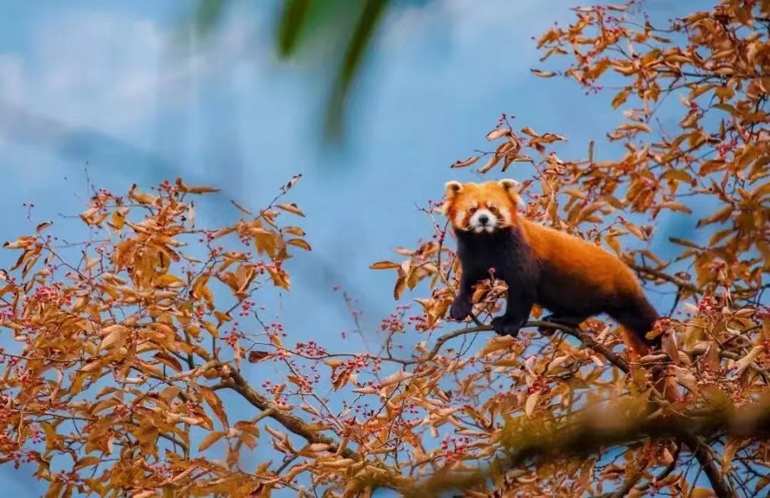 微信图片_20241014103409