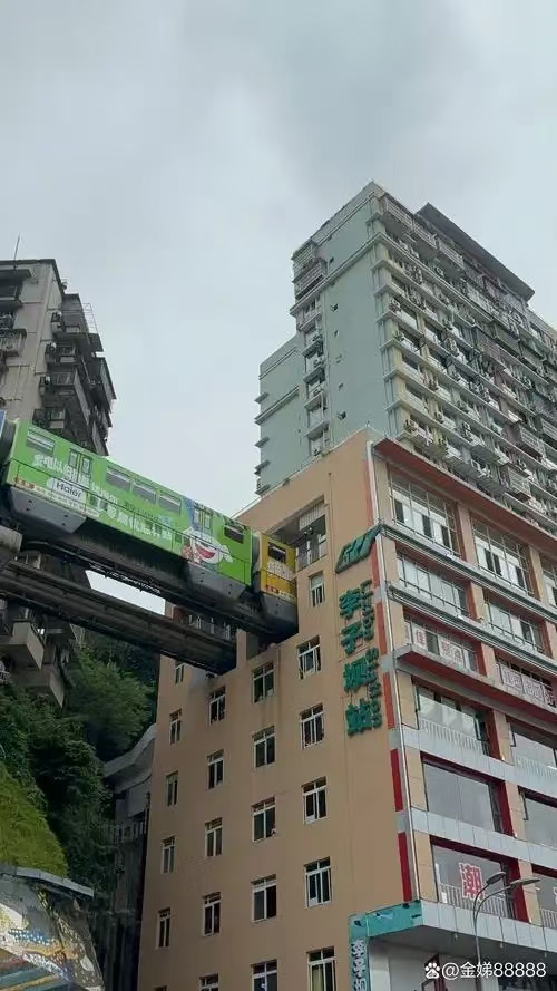 微信图片_20241114163055