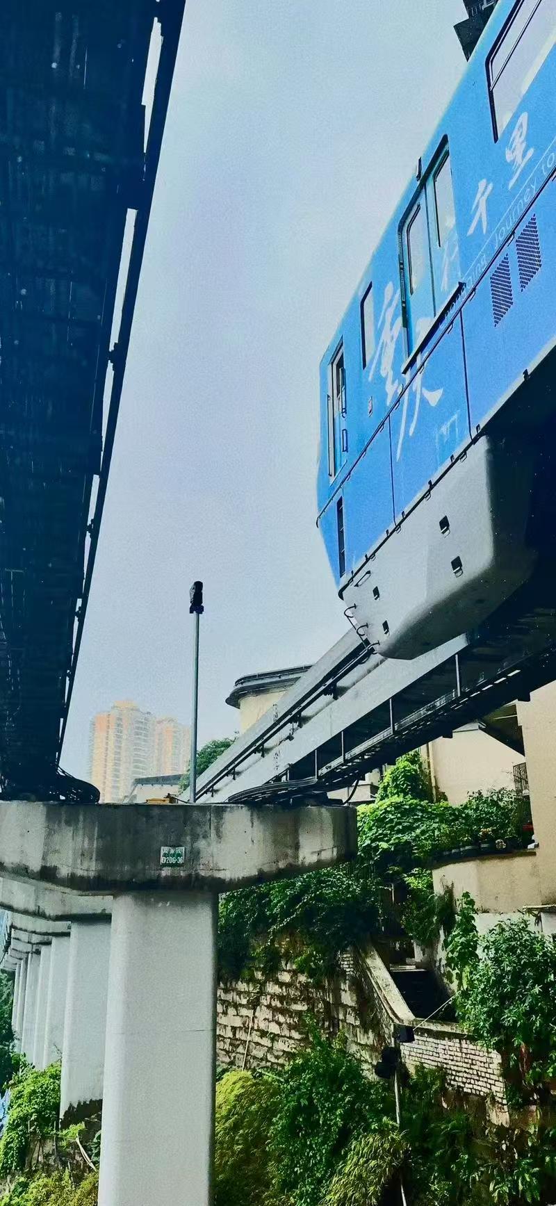 微信图片_20241114163102