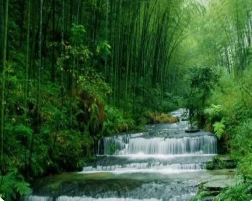 微信图片_20241201160320