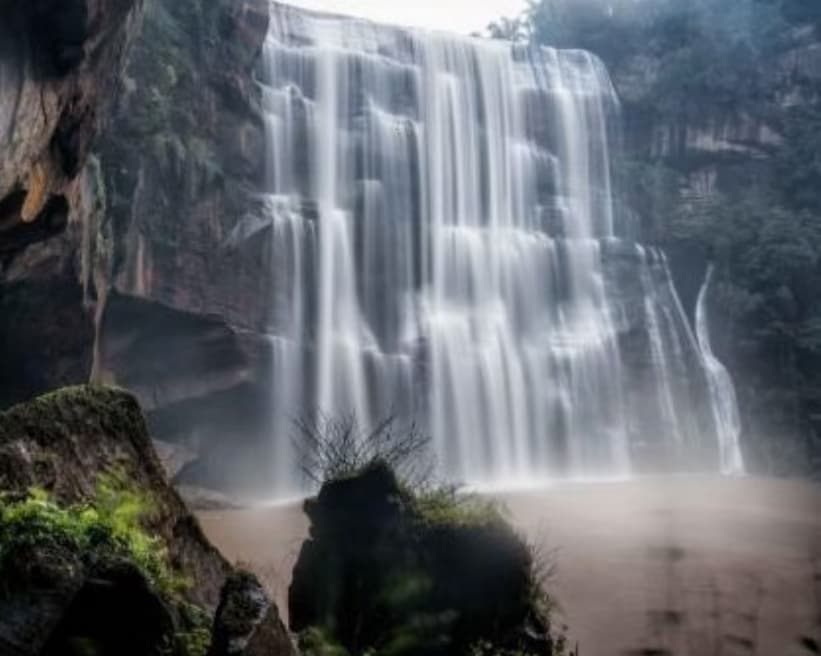 微信图片_20241201160317