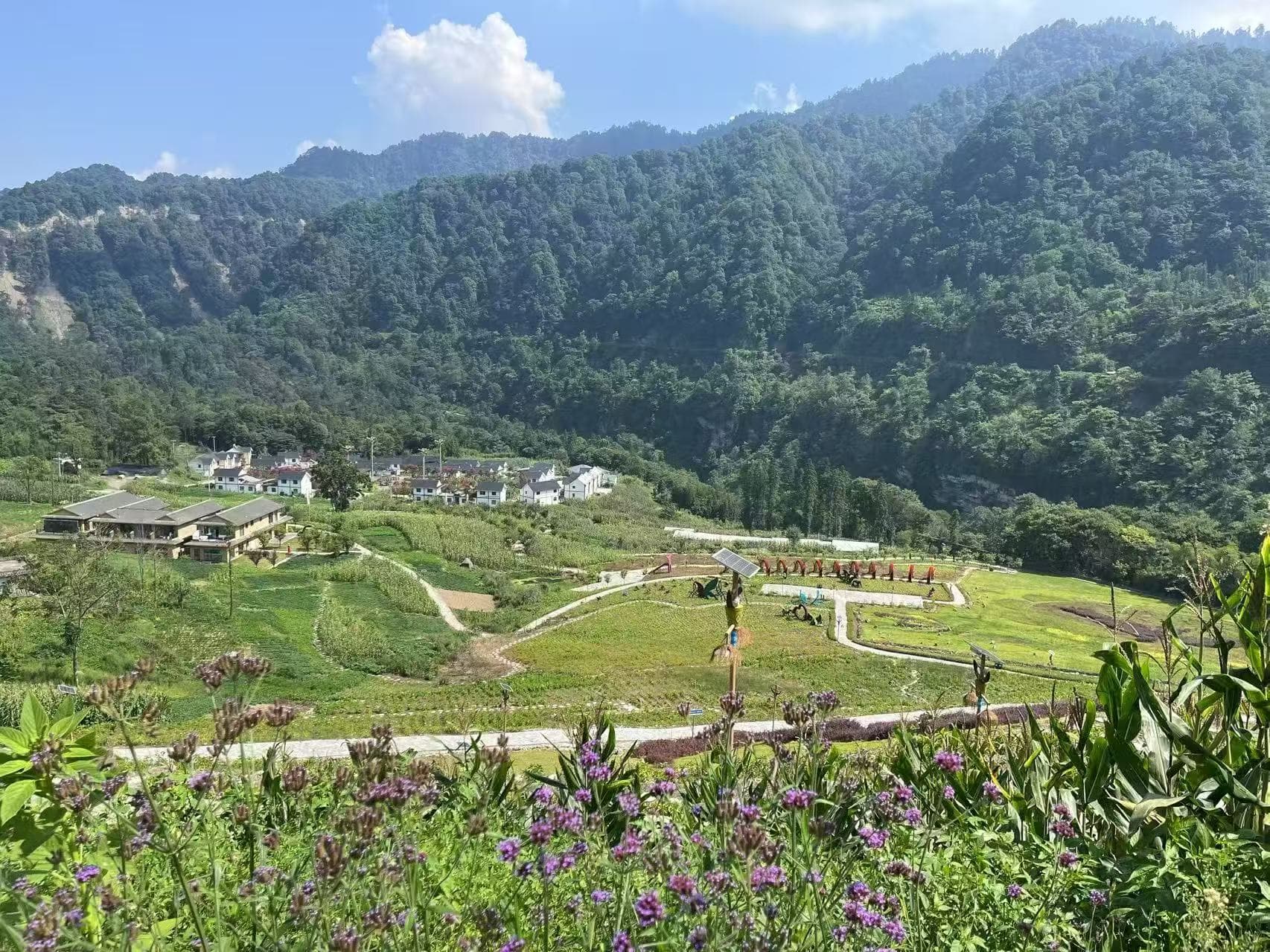 微信图片_20251208074833_613_1