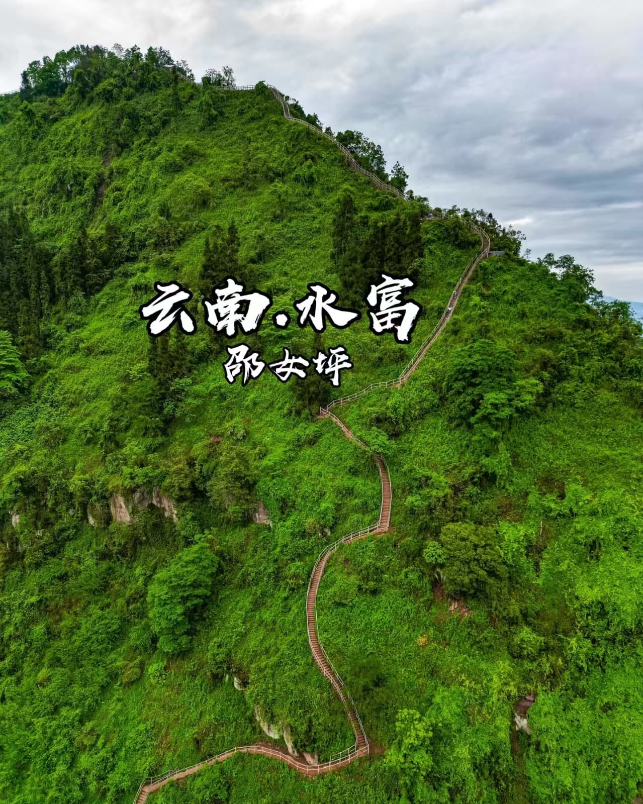 微信图片_20251208080306_619_1