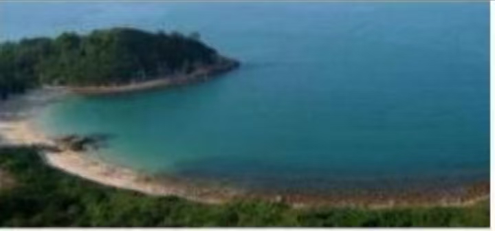 微信图片_20251228104036_733_1