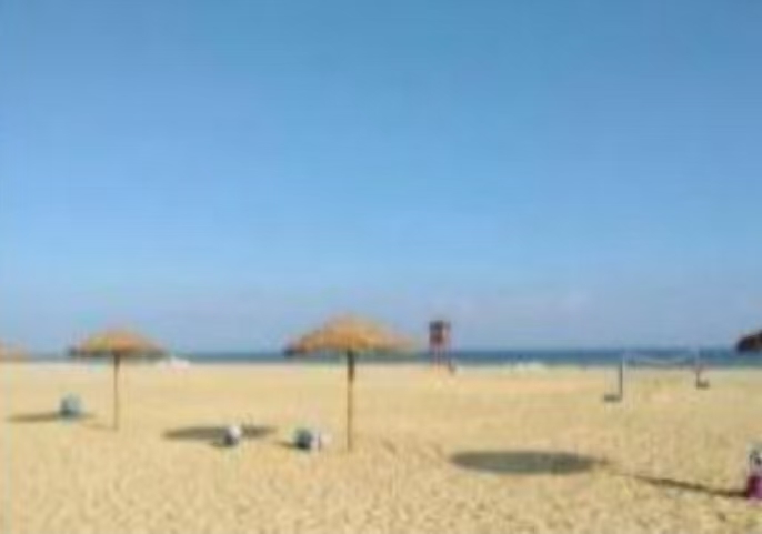 微信图片_20251228104038_736_1