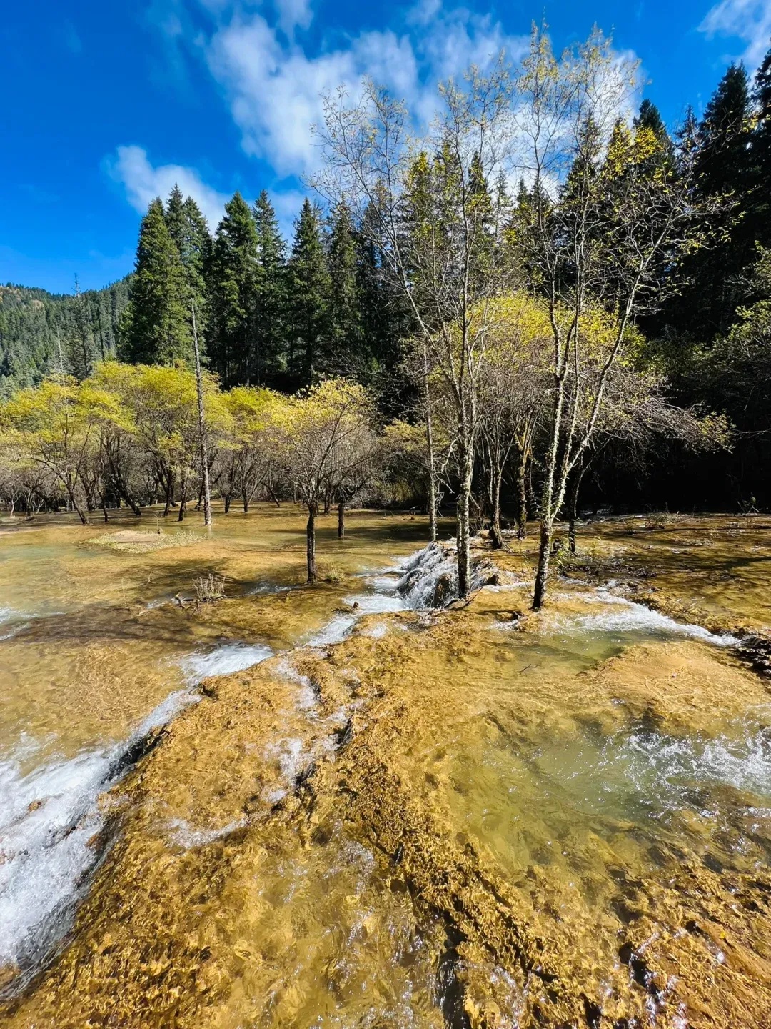 微信图片_20251229091208_813_1