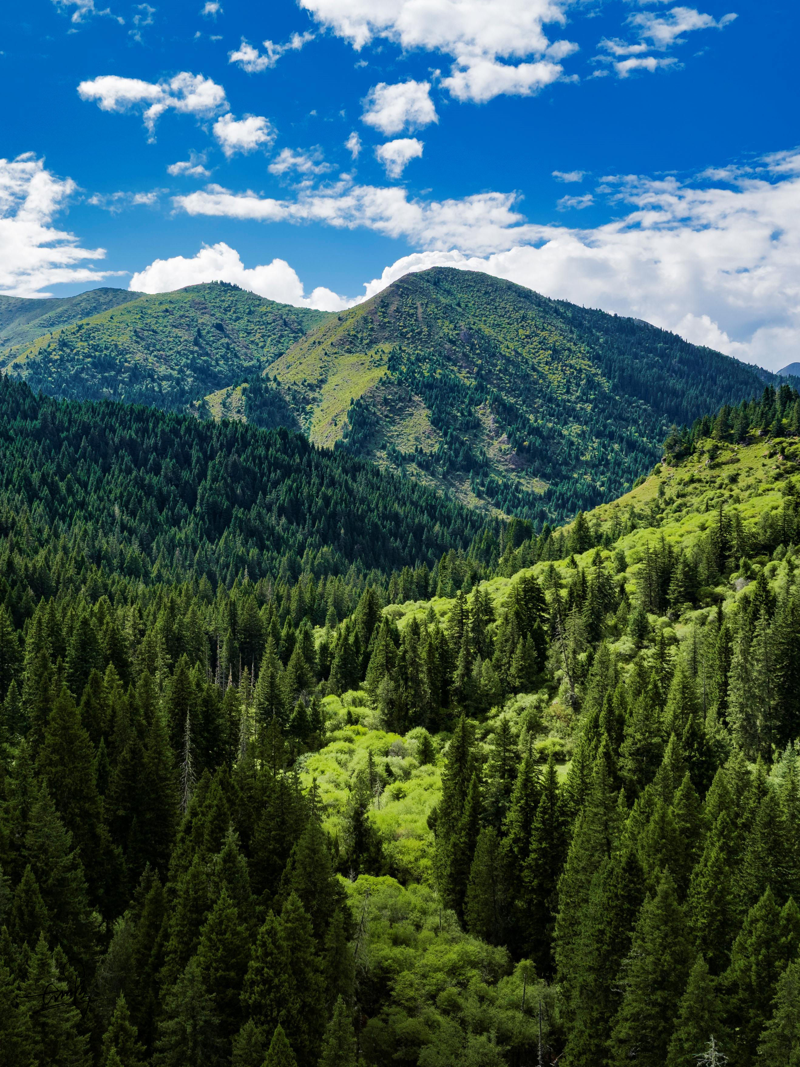 微信图片_20251229091235_820_1