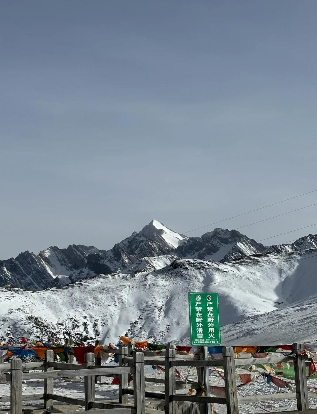 微信图片_20251229091130_793_1