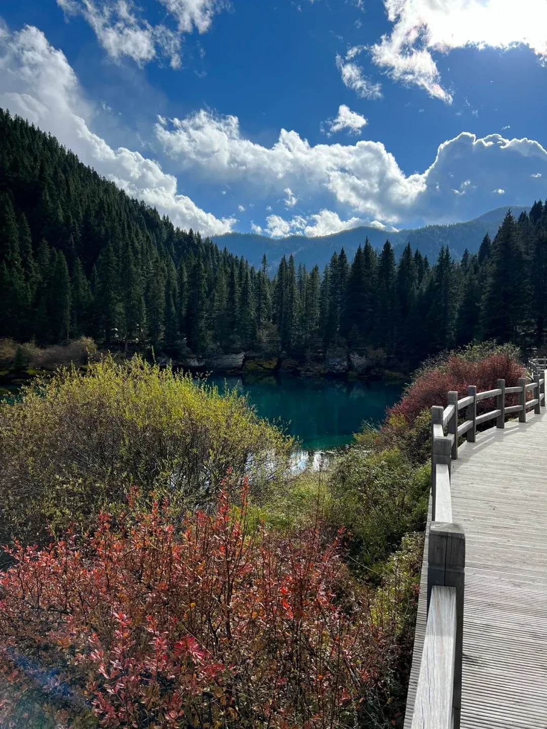 微信图片_20251229091220_815_1