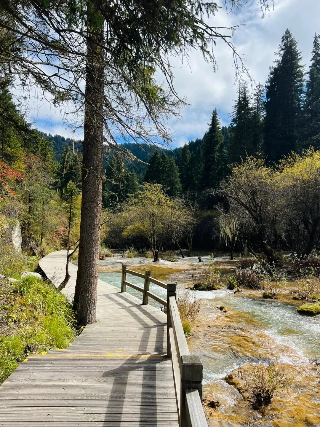 微信图片_20251229091212_814_1