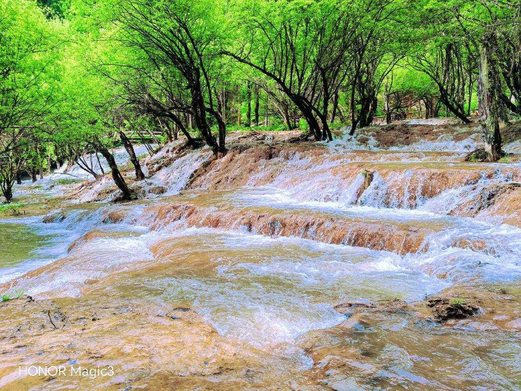 微信图片_20251229091156_809_1