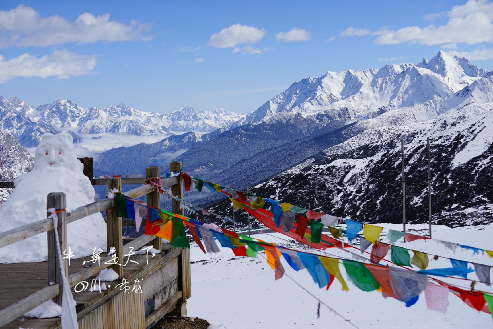 微信图片_20251229091114_786_1