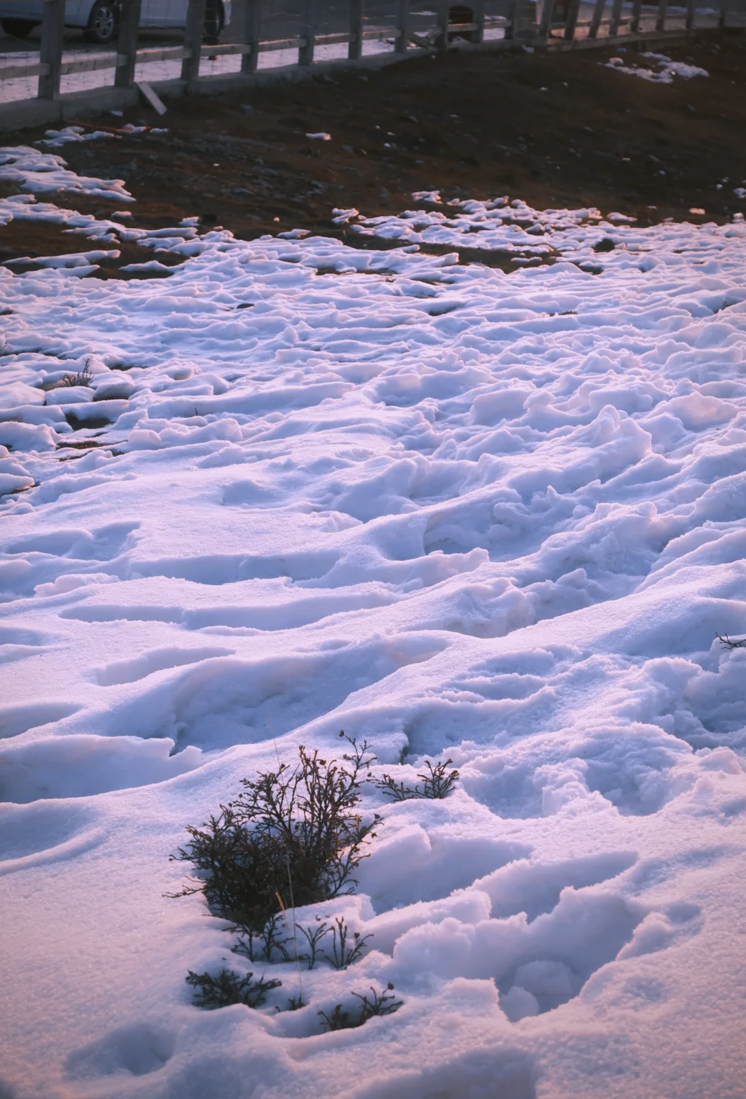 微信图片_20251229091127_790_1