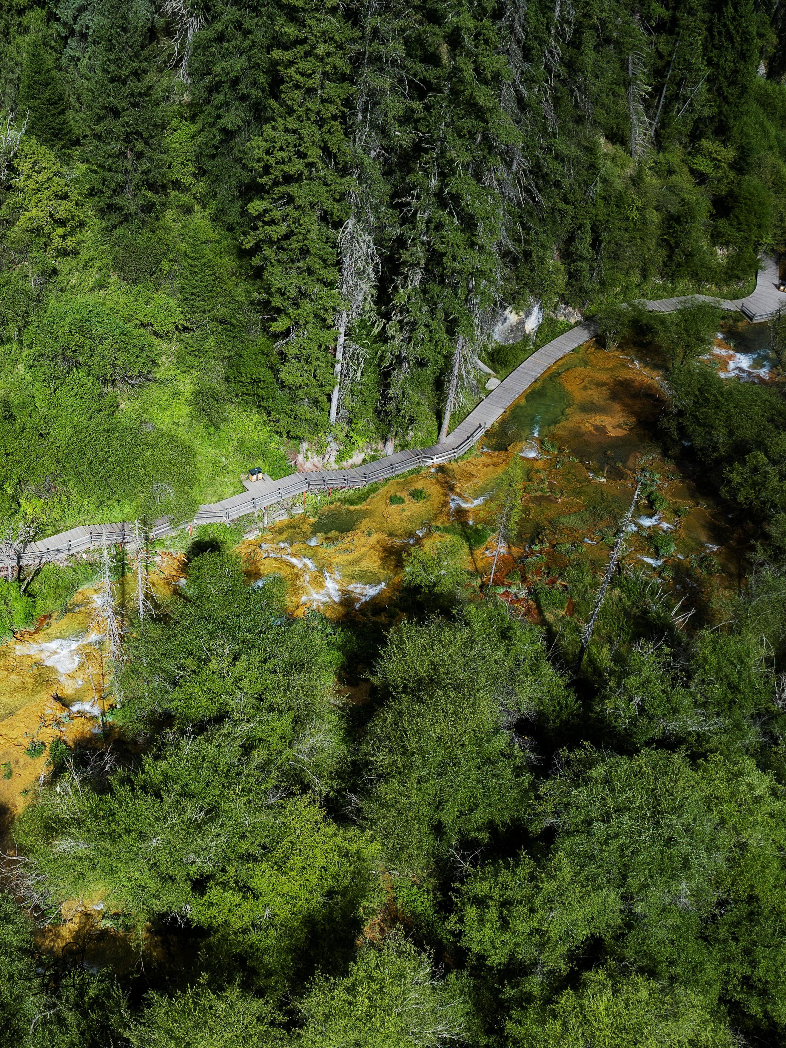 微信图片_20251229091241_822_1