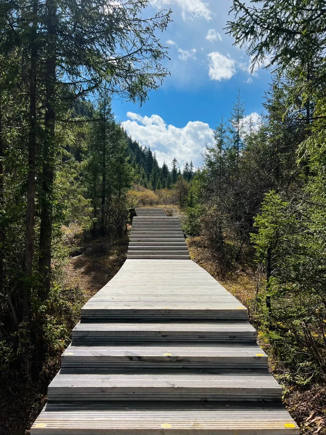 微信图片_20251229091226_817_1