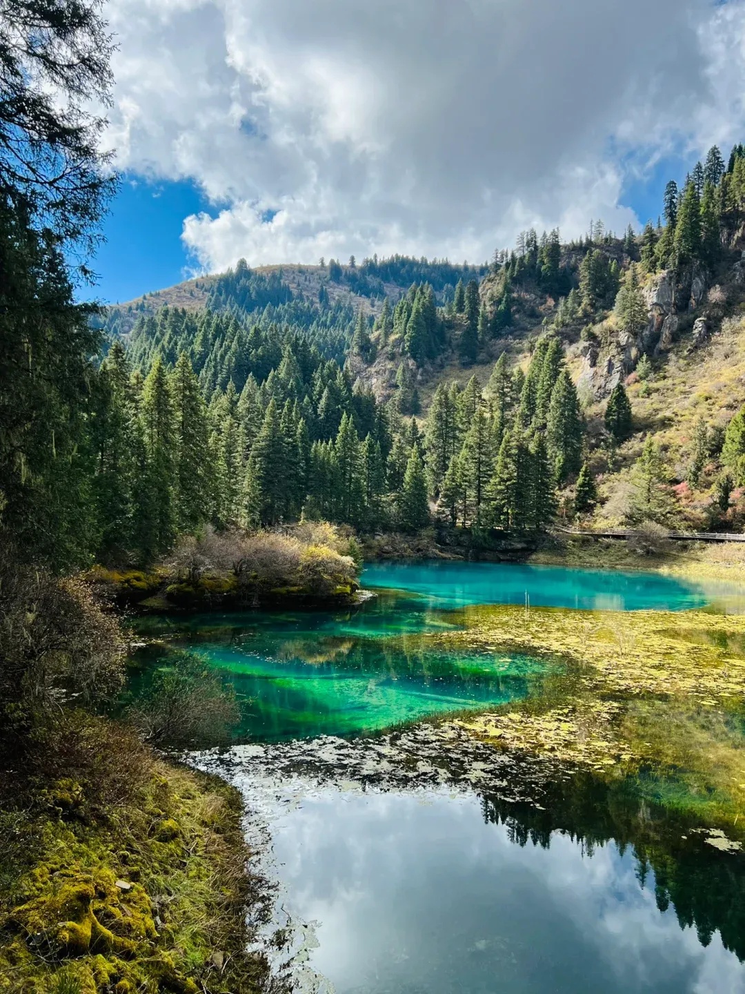 微信图片_20251229091229_818_1