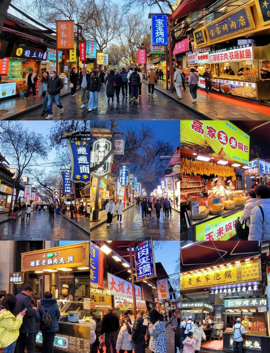 微信图片_20260127235921_1049_1