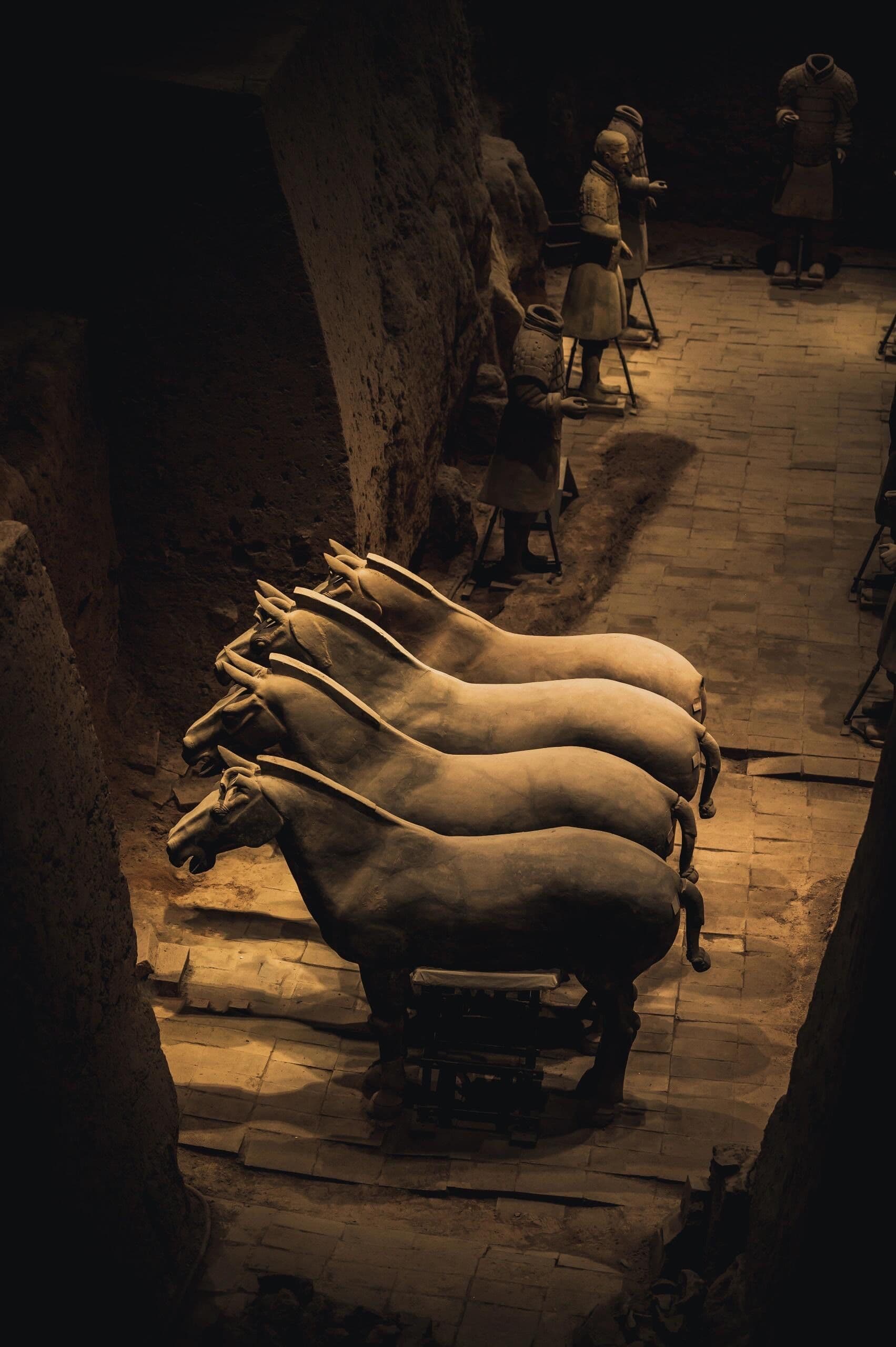 微信图片_20260128000031_1063_1