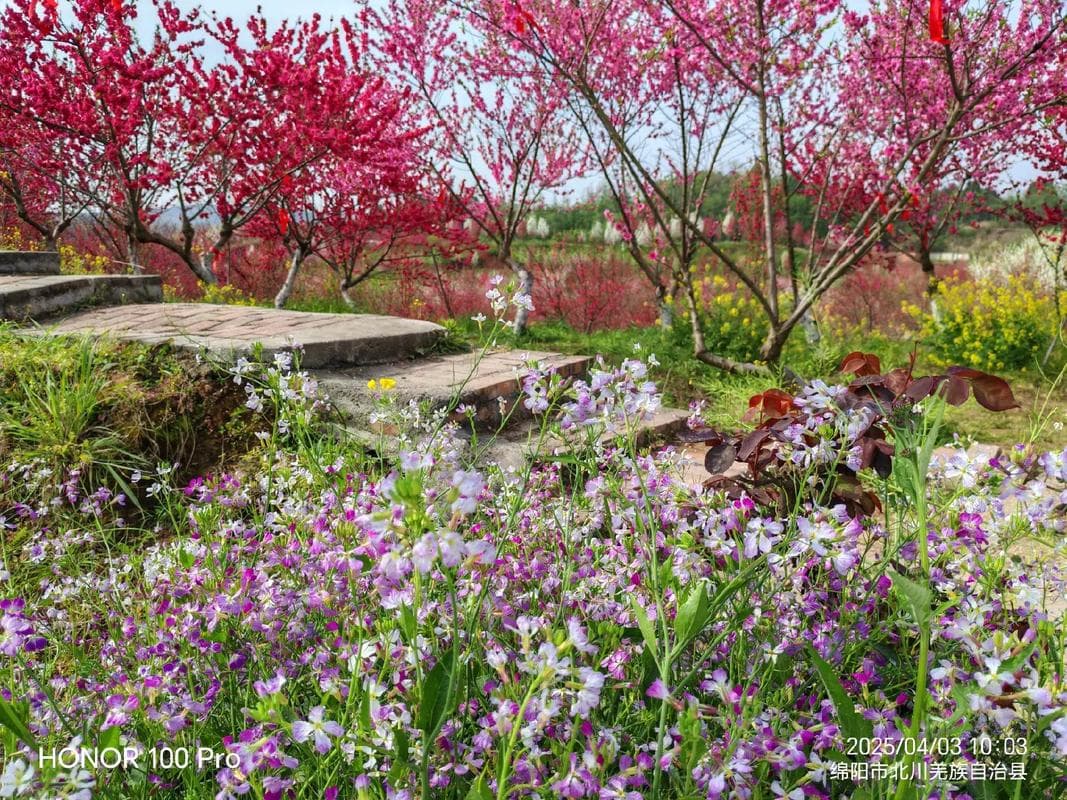 微信图片_20260310223513_1409_1