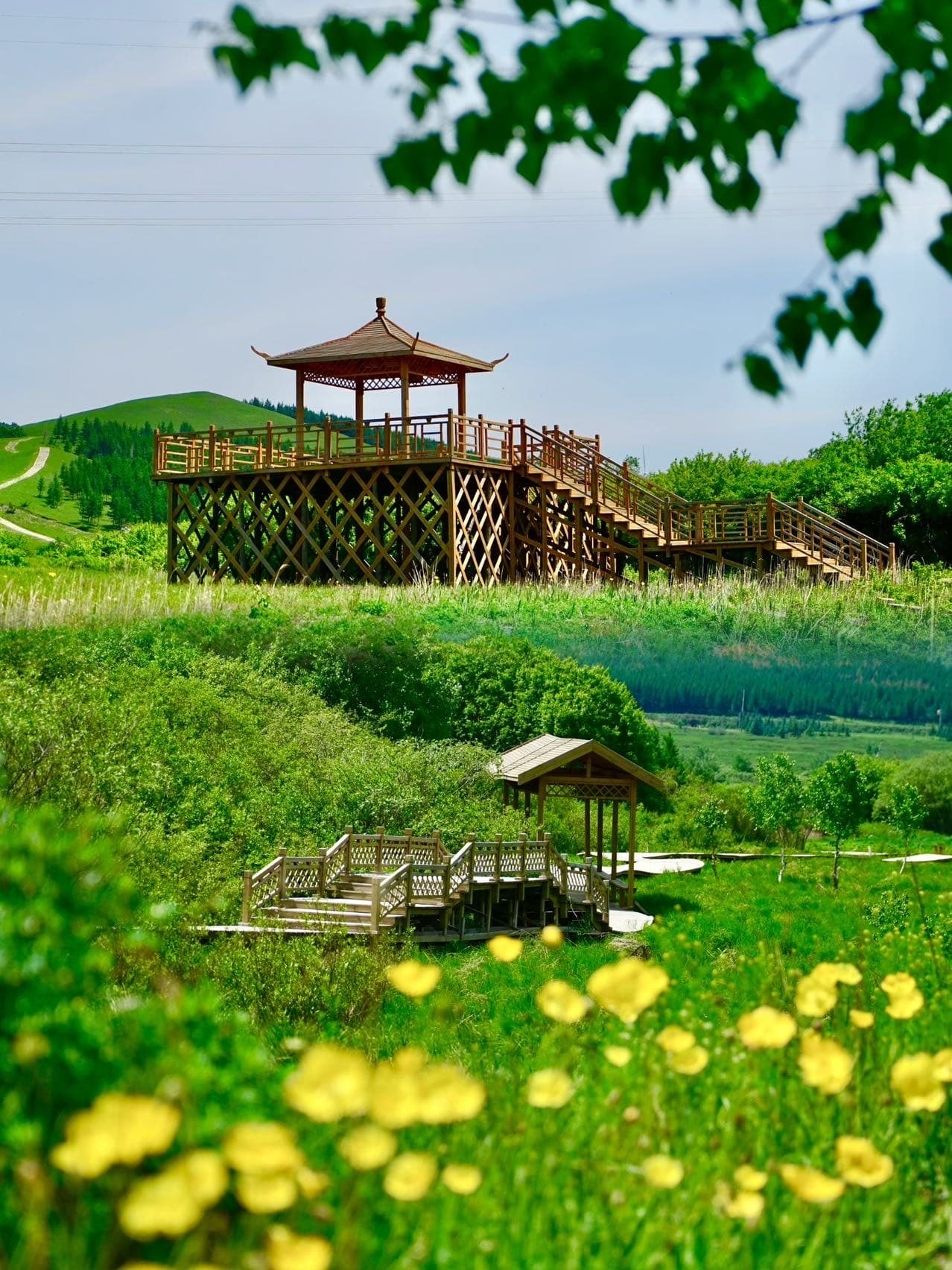 微信图片_20260310223458_1403_1