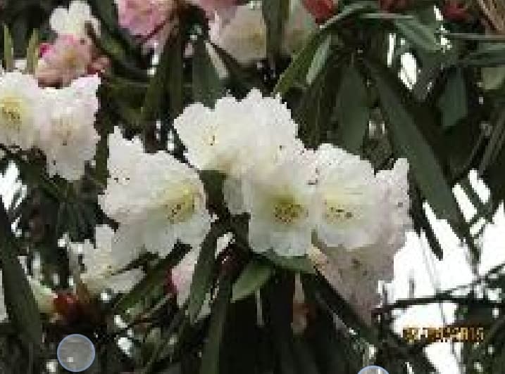 微信图片_20260319113416_1464_1