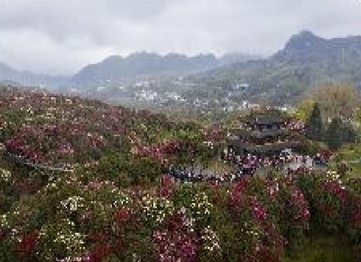 微信图片_20260319113417_1465_1