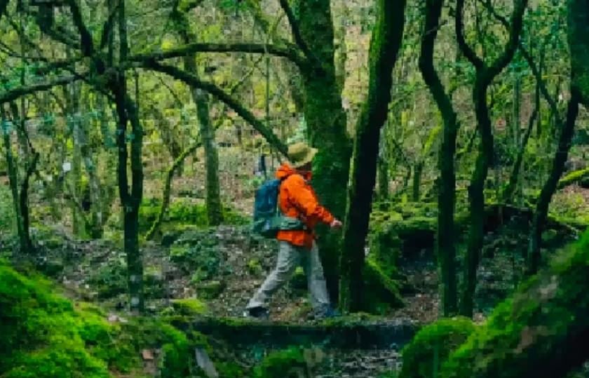 微信图片_20260330221724_1542_1