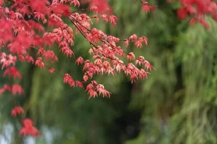 微信图片_20260331170223_1563_1