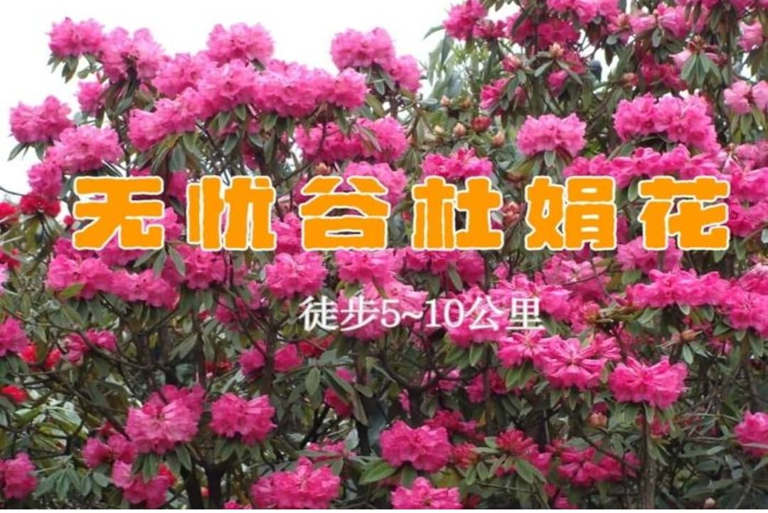 微信图片_20260331170153_1548_1