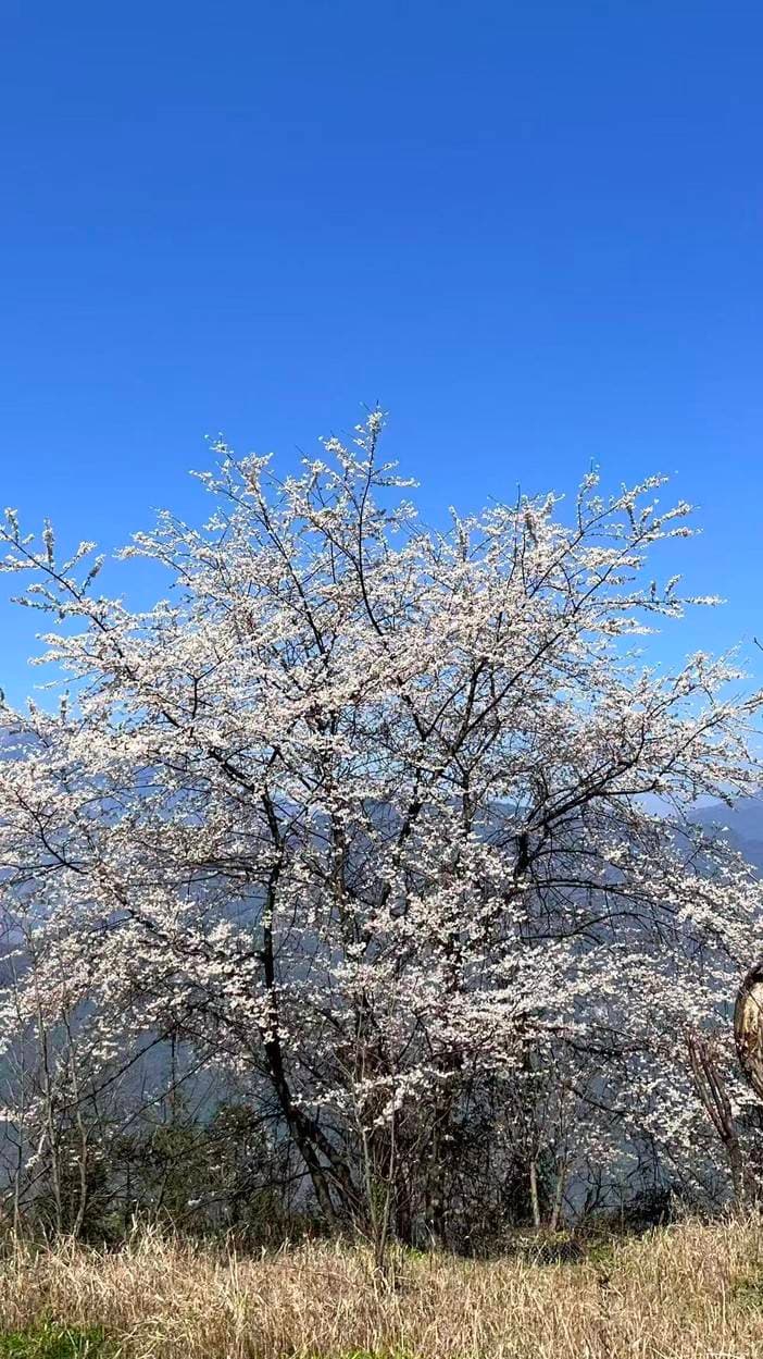 微信图片_20260331170157_1551_1