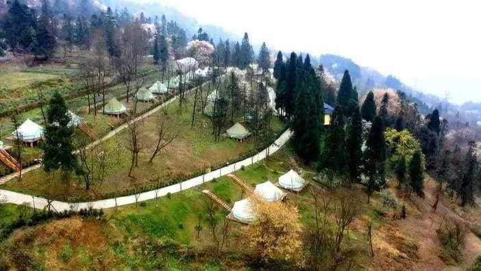 微信图片_20260331170227_1565_1