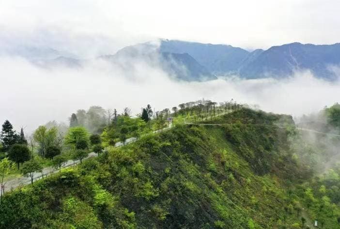 微信图片_20260331170158_1552_1