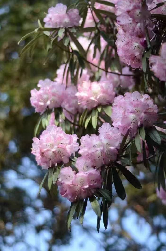 微信图片_20260331170155_1549_1