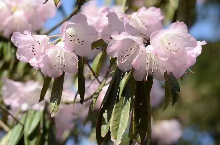 微信图片_20260331170156_1550_1